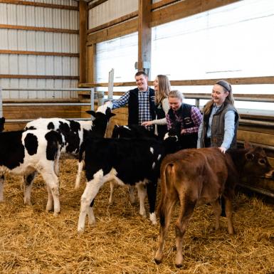 The 2019 Chobani Scholars (from left to right) Blake Wadsworth '23, Emily Starceski '23, Caroline Lafferty '23, and Cassandra Wilbur '23, interact with cows at the Cornell University Dairy Research Center