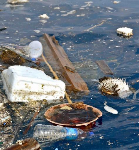 漂浮在海洋中的塑料碎片