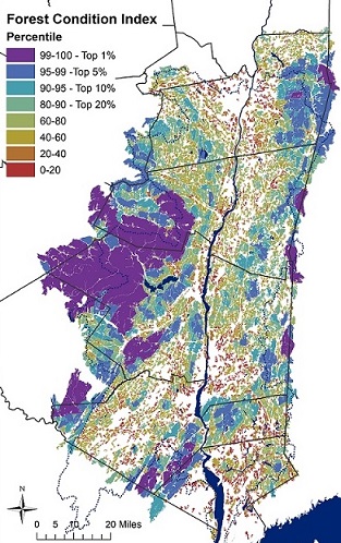 森林状况指数地图哈德逊河河口流域，显示森林斑块的颜色编码基于他们的指数得分。该项目在https://www.nynhp.org/forest-patches上有描述