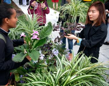 两个女人在谈论室内植物