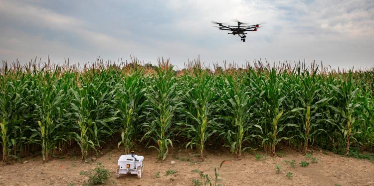地面机器人和无人机监测农作物