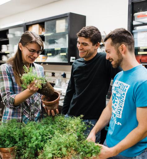 检查盆栽秃头植物根源的学生在实验室