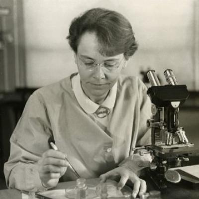 Barbara McClintock在她的实验室