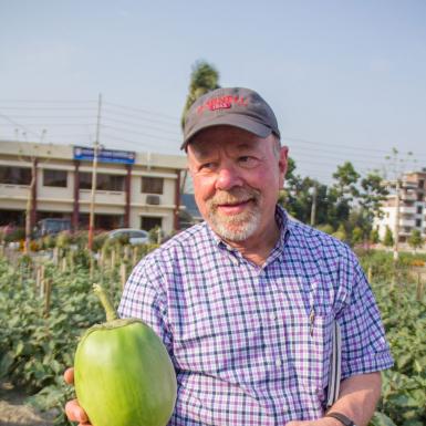 男人把茄子抱在地里