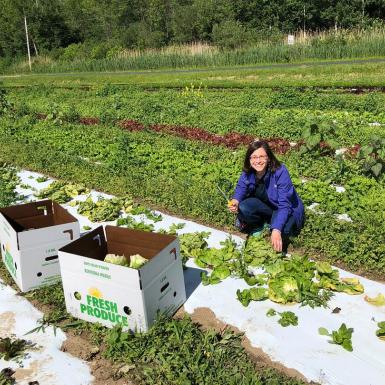 Julie Raway在一个大花园里采摘绿色植物