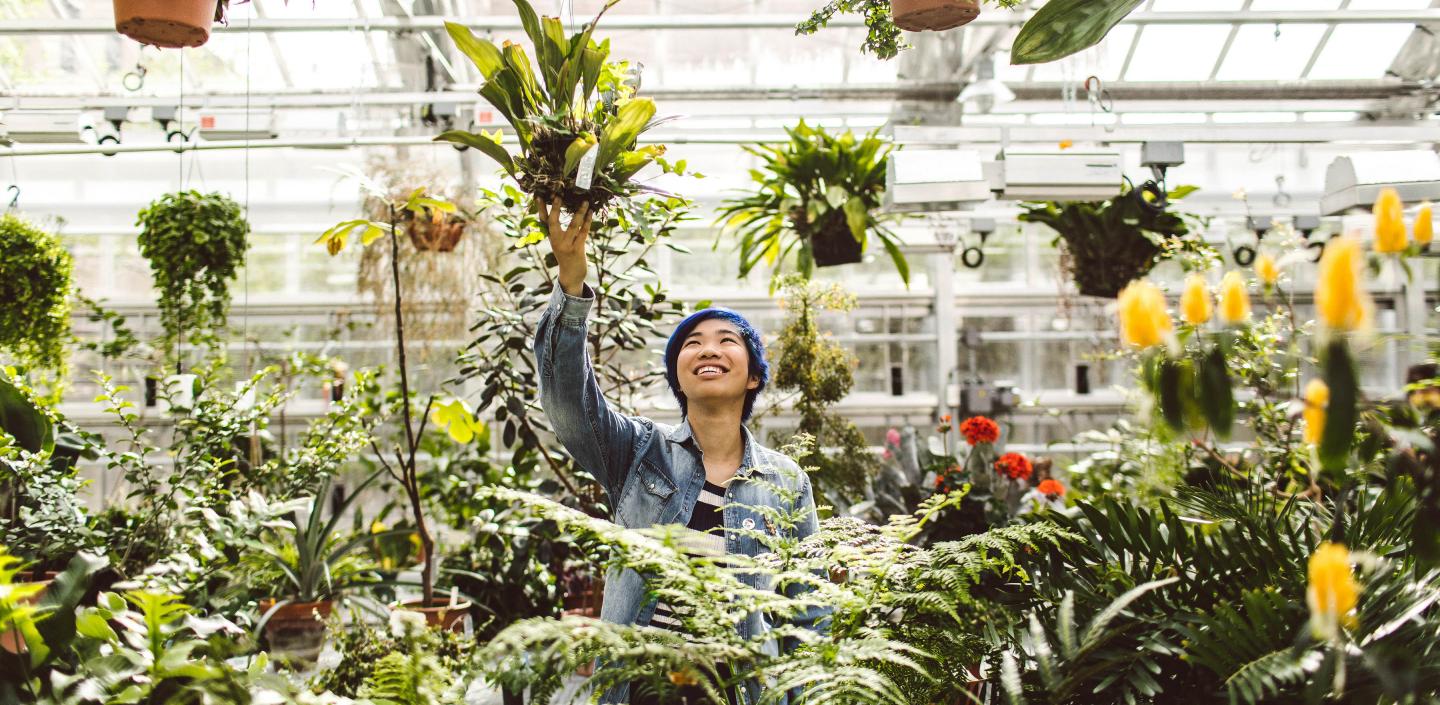 女学生在温室里看植物