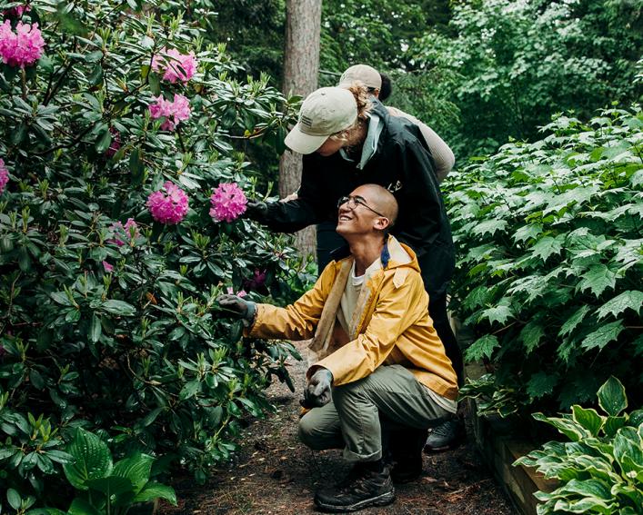 三名学生在一个繁忙的庭院里检查一个开花的植物。
