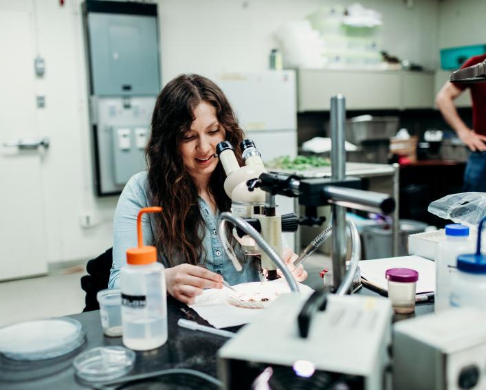 一位女研究生在显微镜下工作
