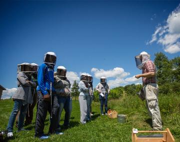 学生学习养蜂