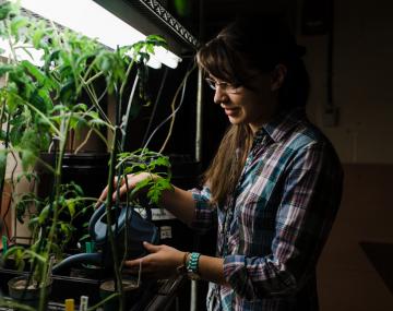 妇女水植物在金属架子上